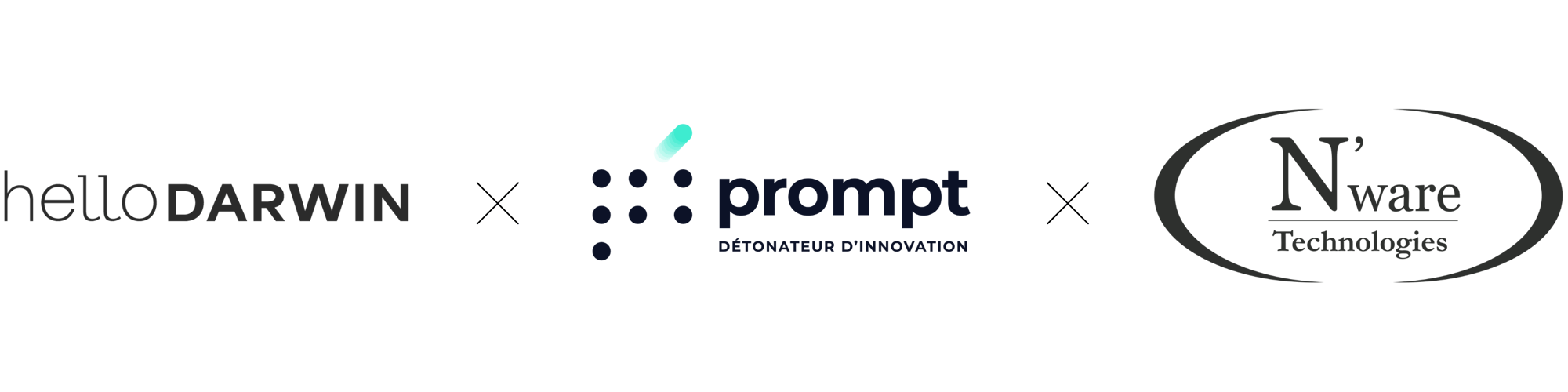 Prompt x Nware x hD